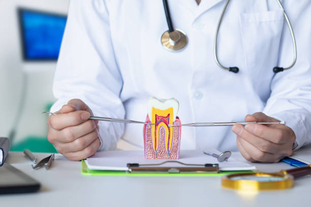 Best Emergency Treatment for Toothache in Arcola, IL